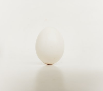 白鸡蛋